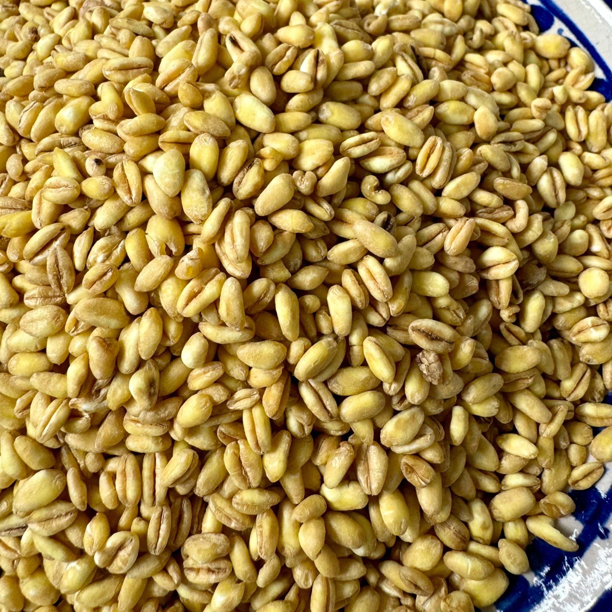 Mazyana Precooked Durum Wheat 